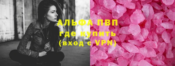 хмурый Аркадак