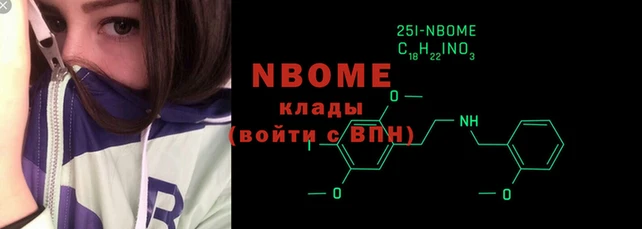 хмурый Аркадак