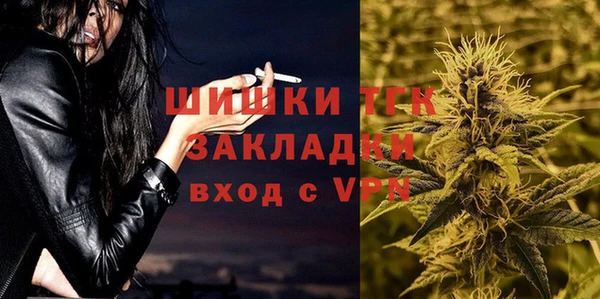 хмурый Аркадак