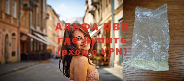 хмурый Аркадак