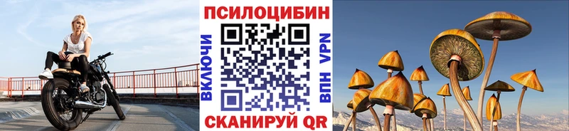 Галлюциногенные грибы Psilocybine cubensis  Купить закладки  Нижняя Салда 